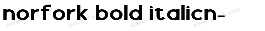 norfork bold italicn字体转换